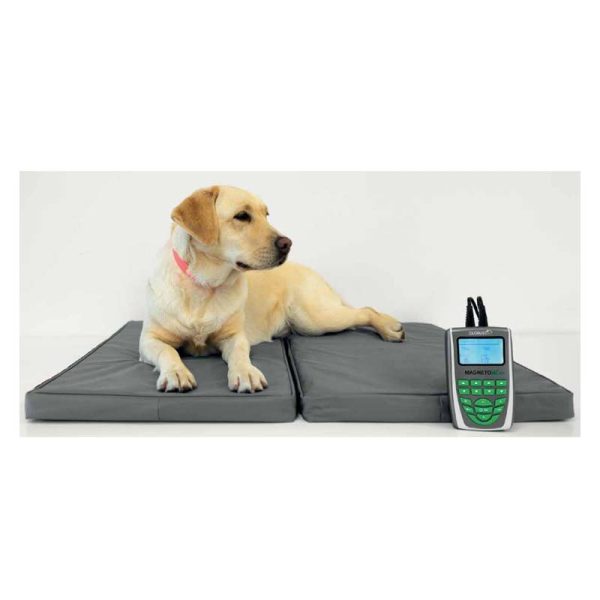 Cuccia Terapeutica per MagnetoVet PER ANIMALI - G6039 - Globus